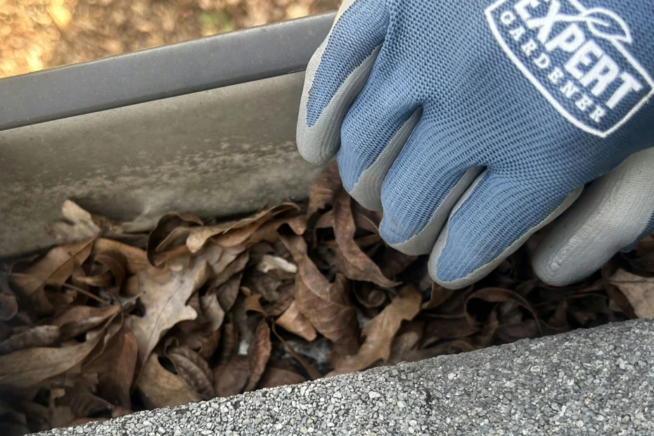 Gutter Cleaning Avondale Estates