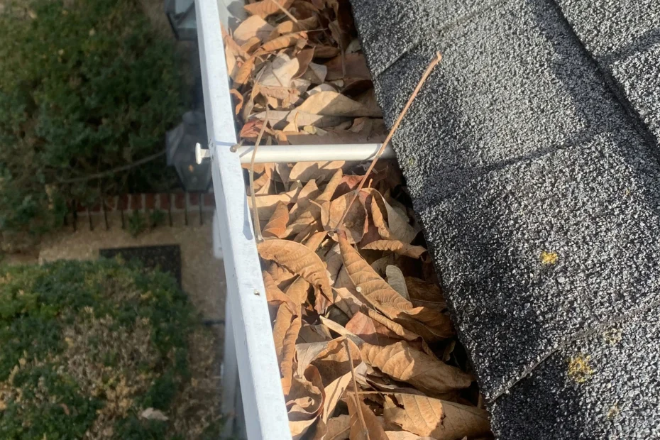 Gutter Cleaning Avondale Estates